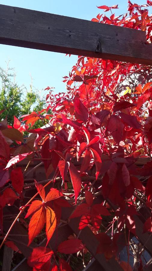 Härnösand Soergardens Logi Bed & Breakfast エクステリア 写真