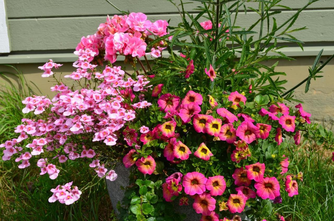 Härnösand Soergardens Logi Bed & Breakfast エクステリア 写真