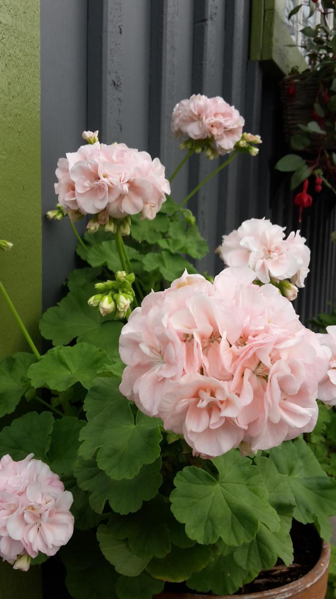 Härnösand Soergardens Logi Bed & Breakfast エクステリア 写真