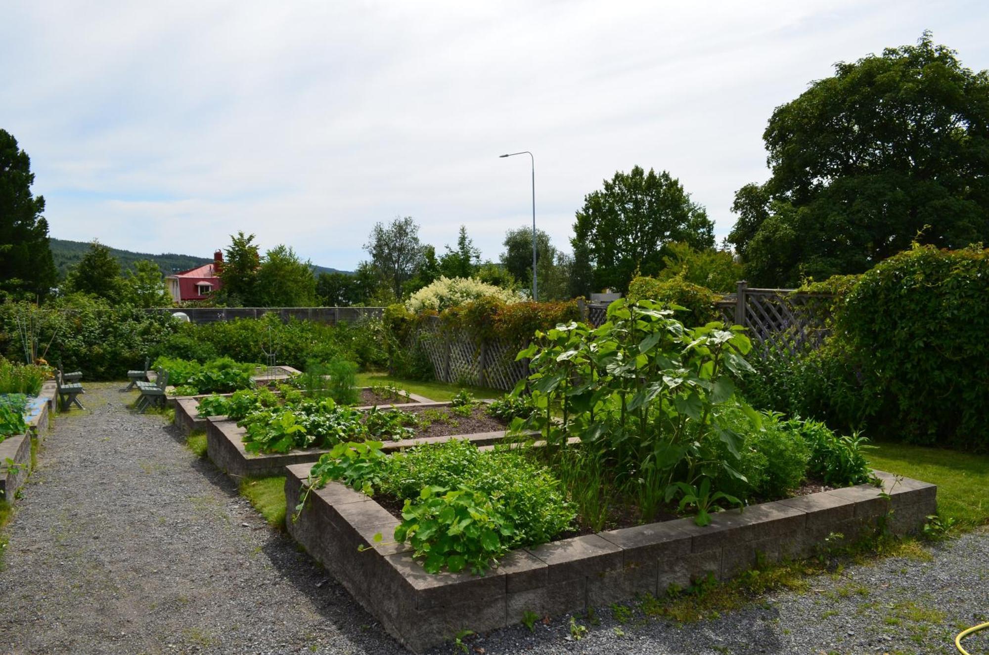 Härnösand Soergardens Logi Bed & Breakfast エクステリア 写真
